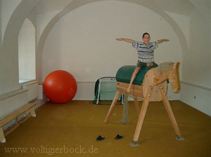 Auch im Reittherapie - Einsatz leistet OTTO gute Dienste